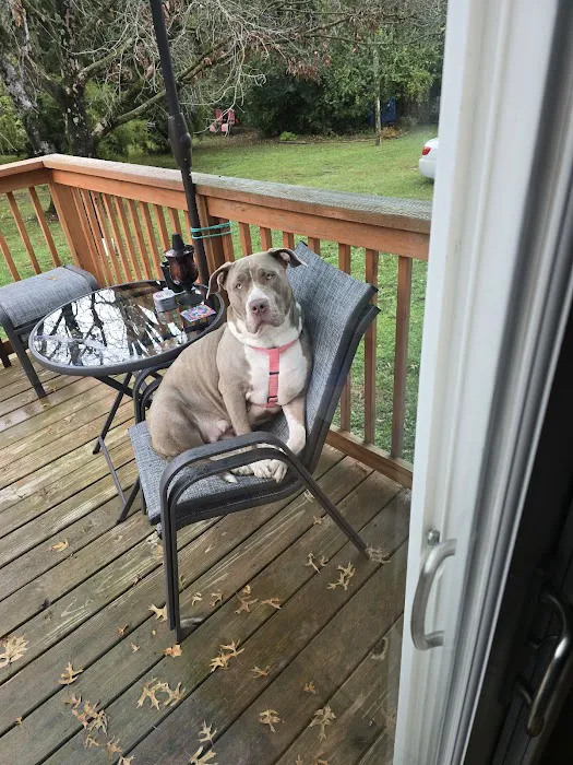 Peach Tree Animal Hospital Picture 2