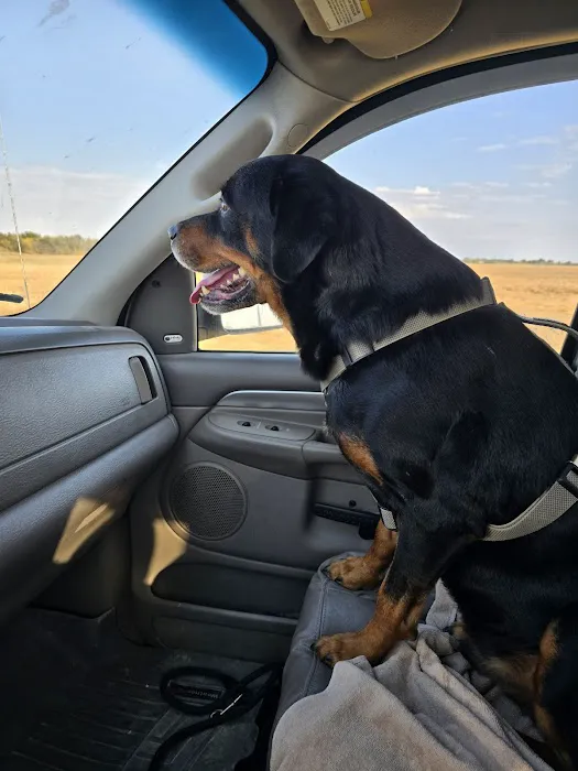 Peach Tree Animal Hospital Picture 1