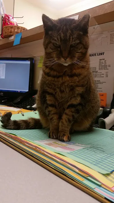 Peach Tree Animal Hospital Picture 6