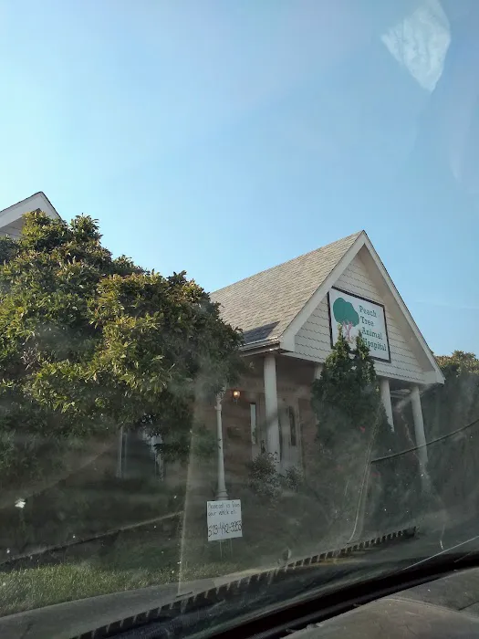 Peach Tree Animal Hospital Picture 9