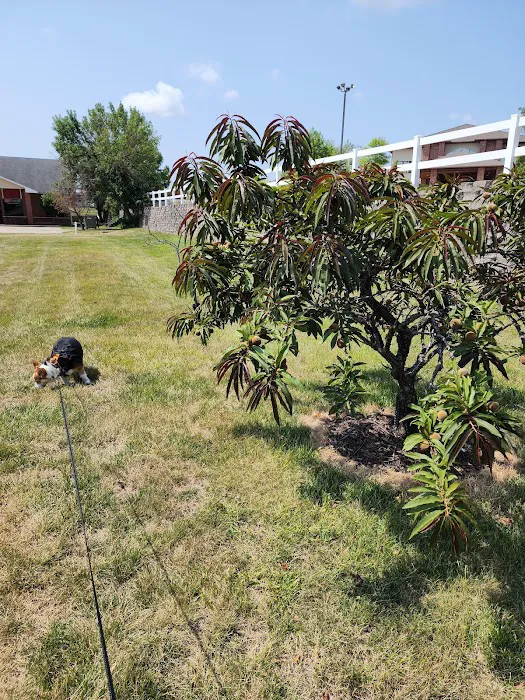 Peach Tree Animal Hospital Picture 10
