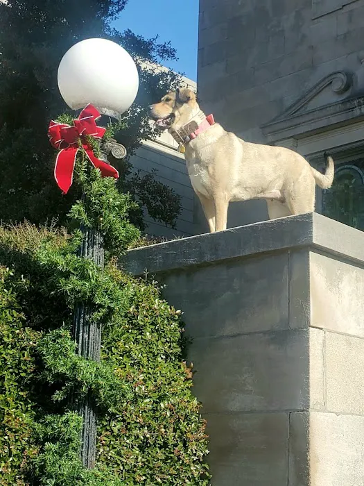 The Pet Care Center of Jackson south Picture 10