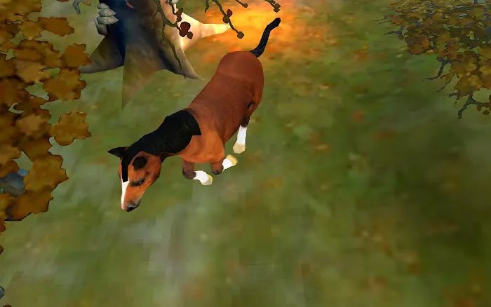 Creech David DVM Picture 3