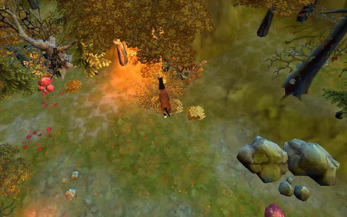 Creech David DVM Picture 6