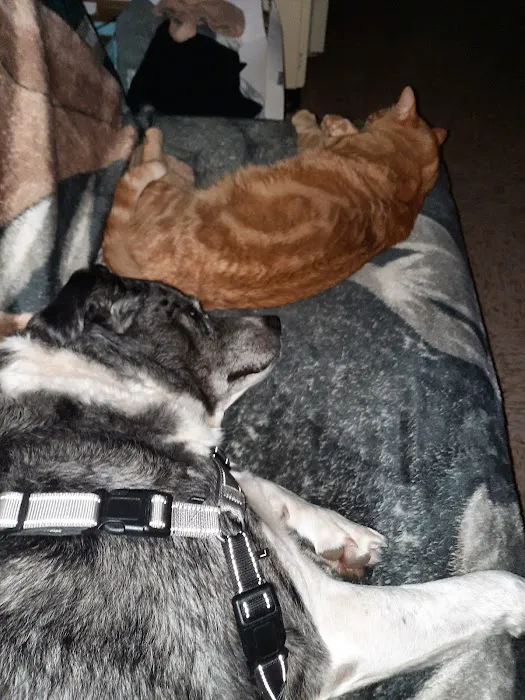 Gerald Dobesh Picture 1