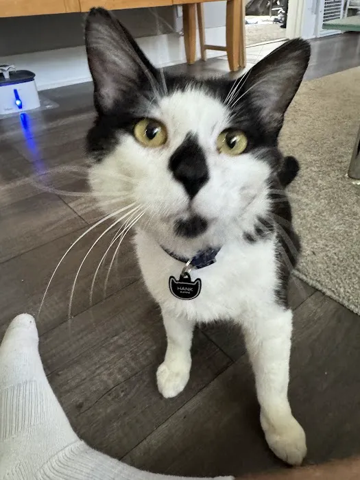 Gerald Dobesh Picture 2