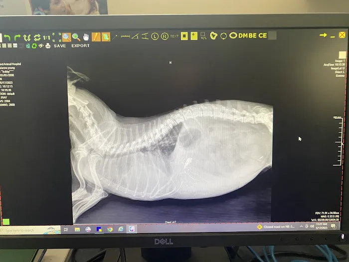 Gerald Dobesh Picture 6