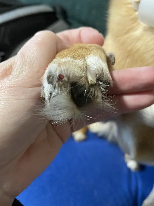 Gerald Dobesh Picture 4