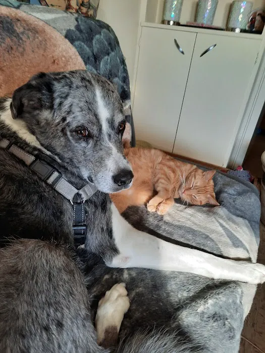 Gerald Dobesh Picture 7