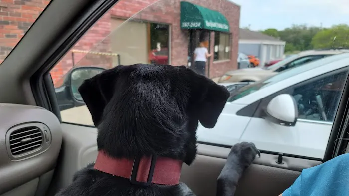 Rockbrook Animal Clinic Picture 3