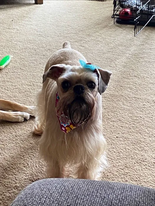 Rockbrook Animal Clinic Picture 1