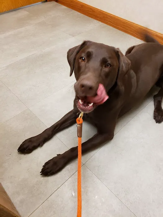 Rockbrook Animal Clinic Picture 2