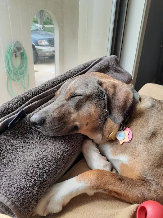 Rockbrook Animal Clinic Picture 4