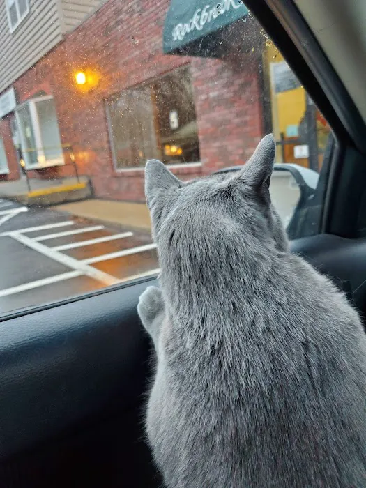 Rockbrook Animal Clinic Picture 9