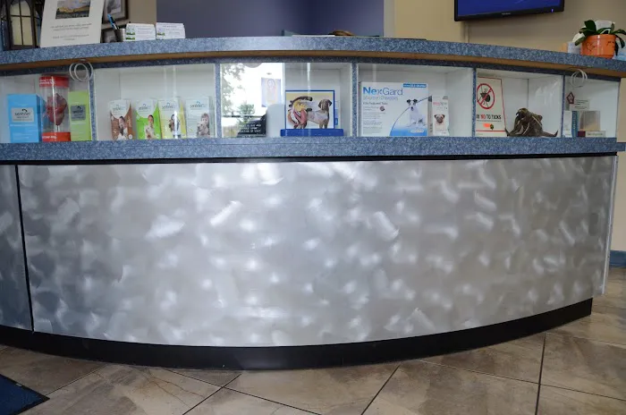 Ridgeview Animal Hospital Picture 3