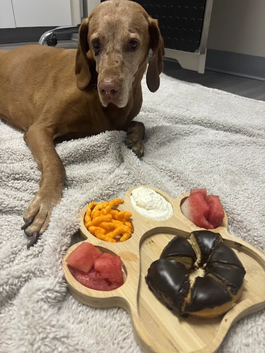 Ridgeview Animal Hospital Picture 1