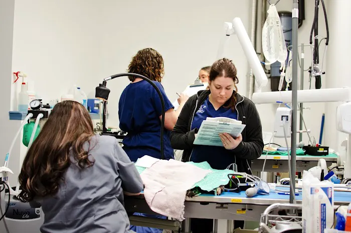 Ridgeview Animal Hospital Picture 8