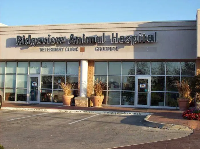 Ridgeview Animal Hospital Picture 4