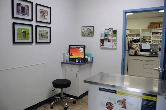 Ridgeview Animal Hospital Picture 5