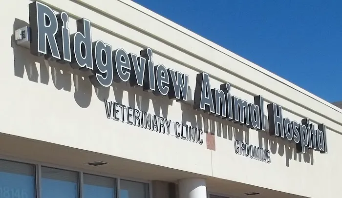 Ridgeview Animal Hospital Picture 6
