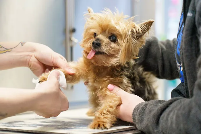 Ridgeview Animal Hospital Picture 7