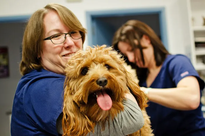 Ridgeview Animal Hospital Picture 10