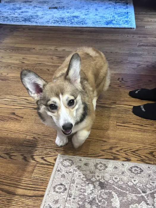 OVG Urgent Care Picture 1