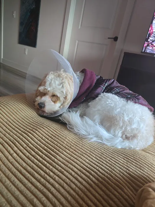 OVG Urgent Care Picture 3