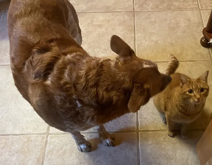 OVG Urgent Care Picture 2