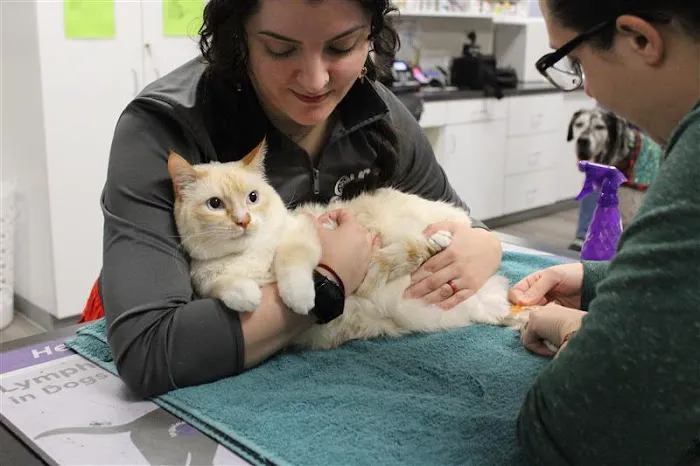 OVG Urgent Care Picture 8