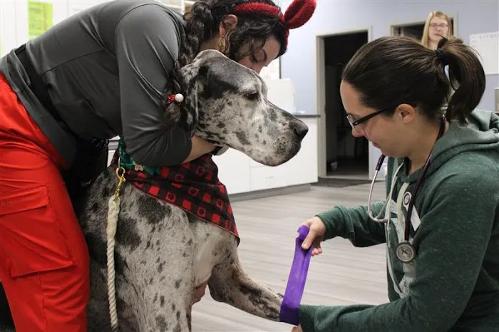 OVG Urgent Care Picture 5