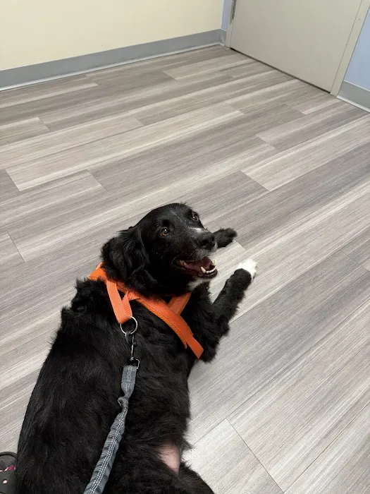 OVG Urgent Care Picture 4