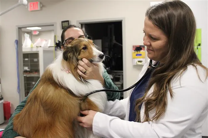 OVG Urgent Care Picture 10