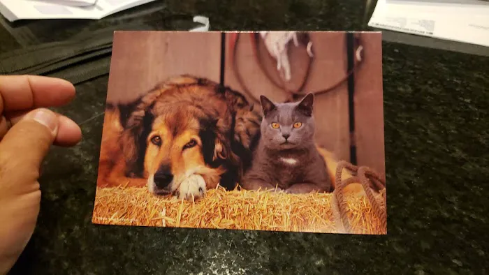 Elkhorn South Veterinary Clinic Picture 3