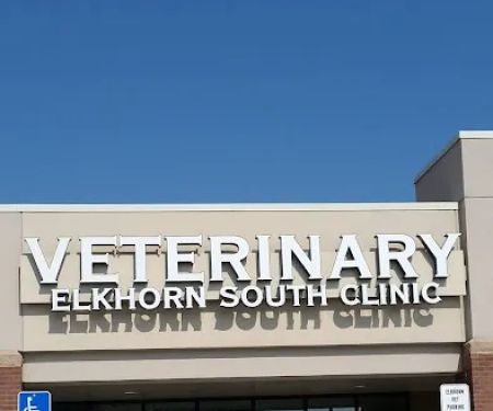 Elkhorn South Veterinary Clinic