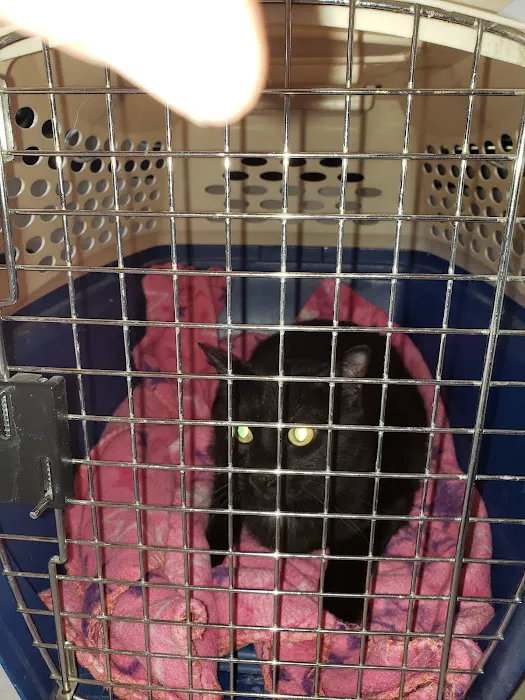 Harvey Oaks Animal Hospital Picture 5