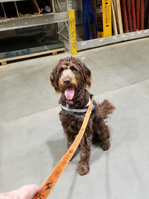 Harvey Oaks Animal Hospital Picture 4