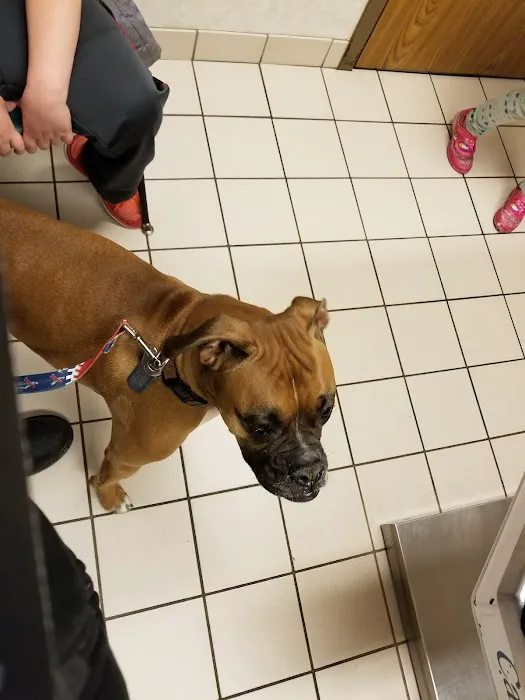 Harvey Oaks Animal Hospital Picture 8