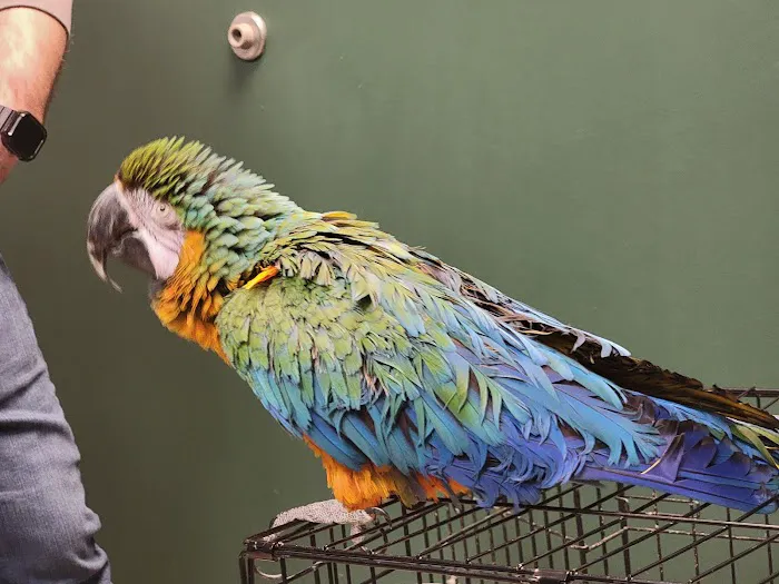 Southpaw Veterinary Clinic and Emergency Care Picture 5