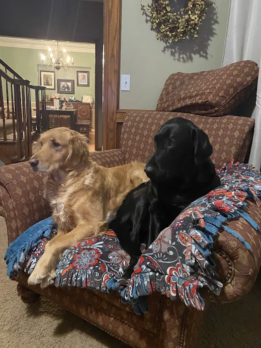 Southpaw Veterinary Clinic and Emergency Care Picture 7