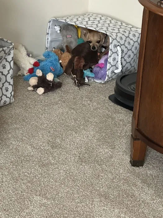 Southpaw Veterinary Clinic and Emergency Care Picture 6