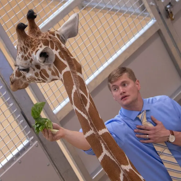 Southpaw Veterinary Clinic and Emergency Care Picture 8