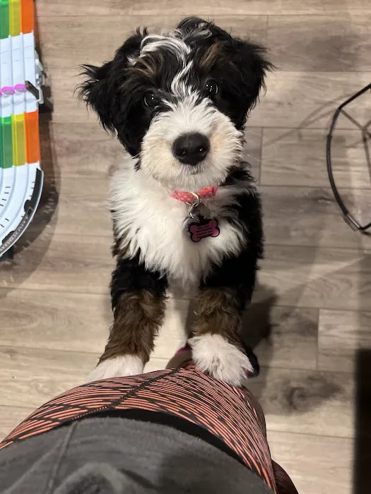 Southpaw Veterinary Clinic and Emergency Care Picture 9