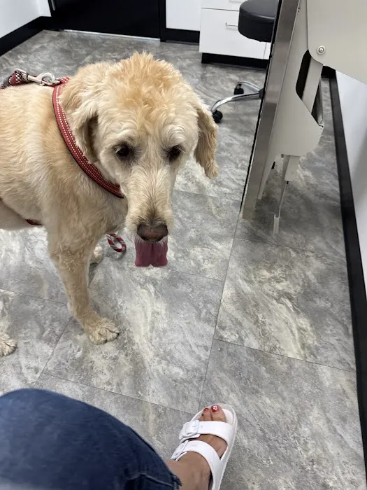 Coventry Veterinary Clinic Picture 1