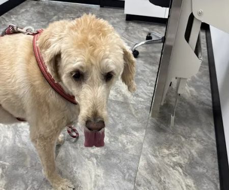 Coventry Veterinary Clinic