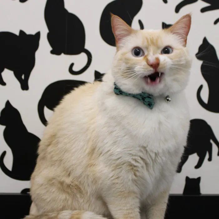 Coventry Veterinary Clinic Picture 3