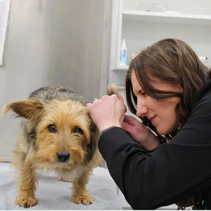 Coventry Veterinary Clinic Picture 4