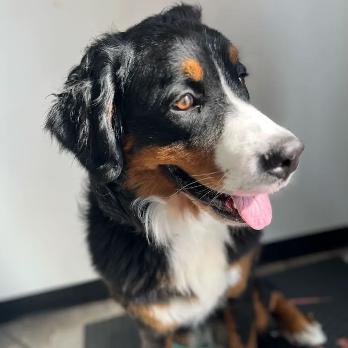 Coventry Veterinary Clinic Picture 9