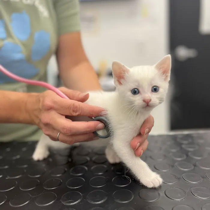 Coventry Veterinary Clinic Picture 8