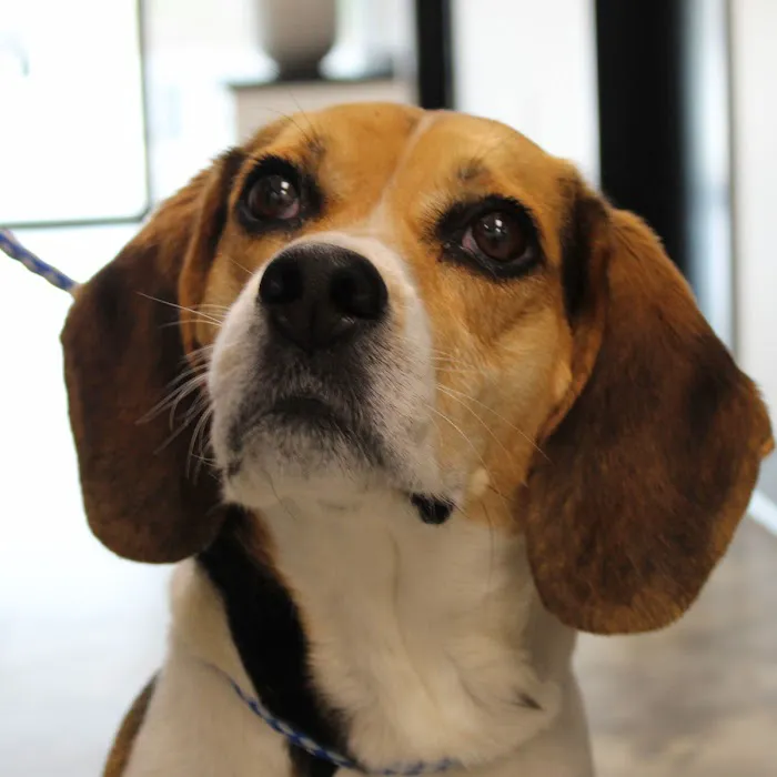 Coventry Veterinary Clinic Picture 7